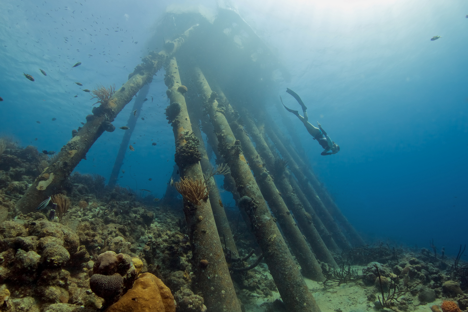 Salt Pier Deep