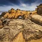 Salt Point Arch