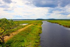 Salt water Marsh