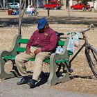 Salta - Afternoon Nap - Foto 183