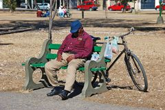 Salta - Afternoon Nap - Foto 183