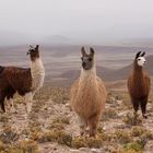 Salta, Argentina