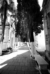 Salta - Cemetery - Foto 185