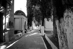 Salta - Cemetery - Foto 186