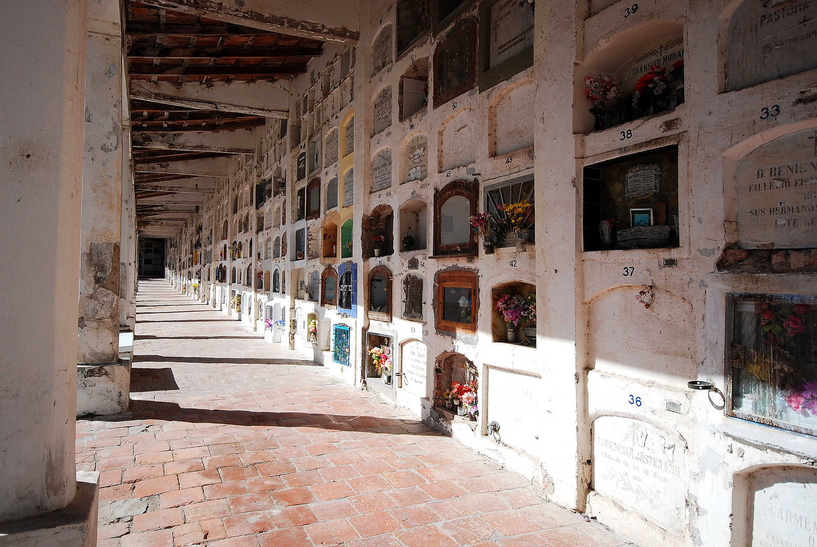 Salta - Cemetery - Foto 187