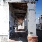 Salta - Cemetery - Foto 188