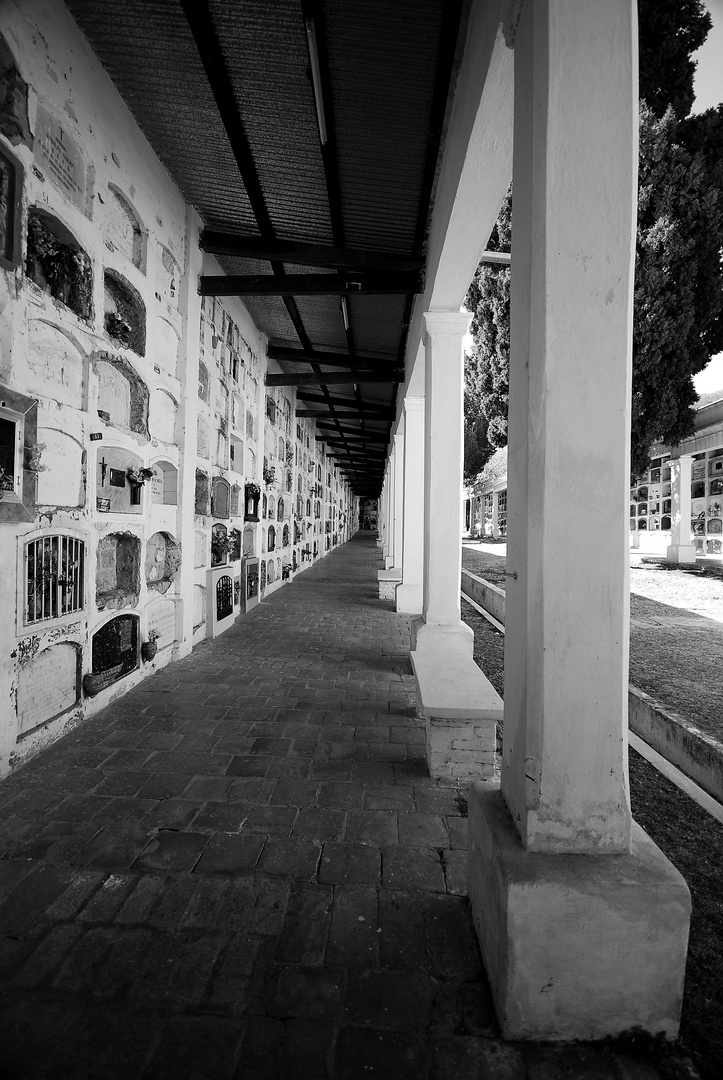 Salta - Cemetery - Foto 189