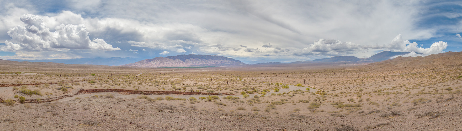 Salta - Parque Nacional Los Cardones