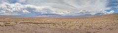 Salta - Parque Nacional Los Cardones