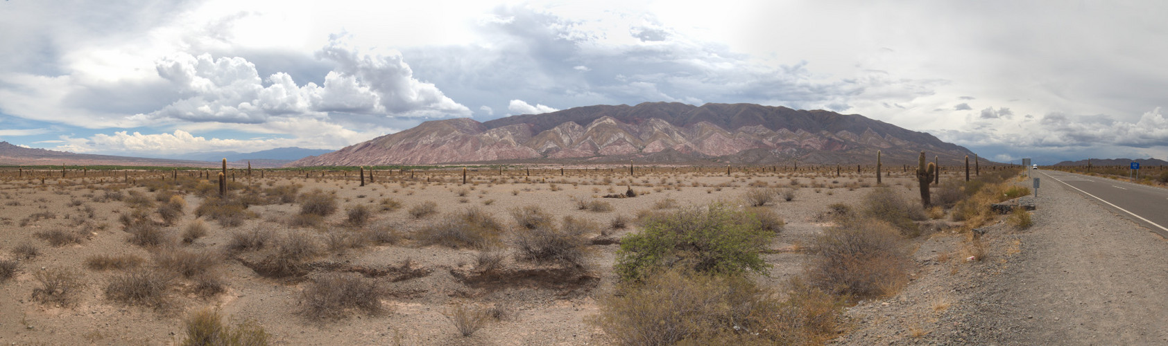 Salta - Parque Nacional Los Cardones