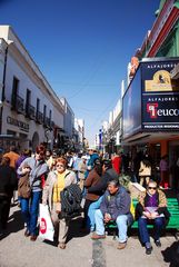 Salta-  Peatonal Alberdi - Foto 175