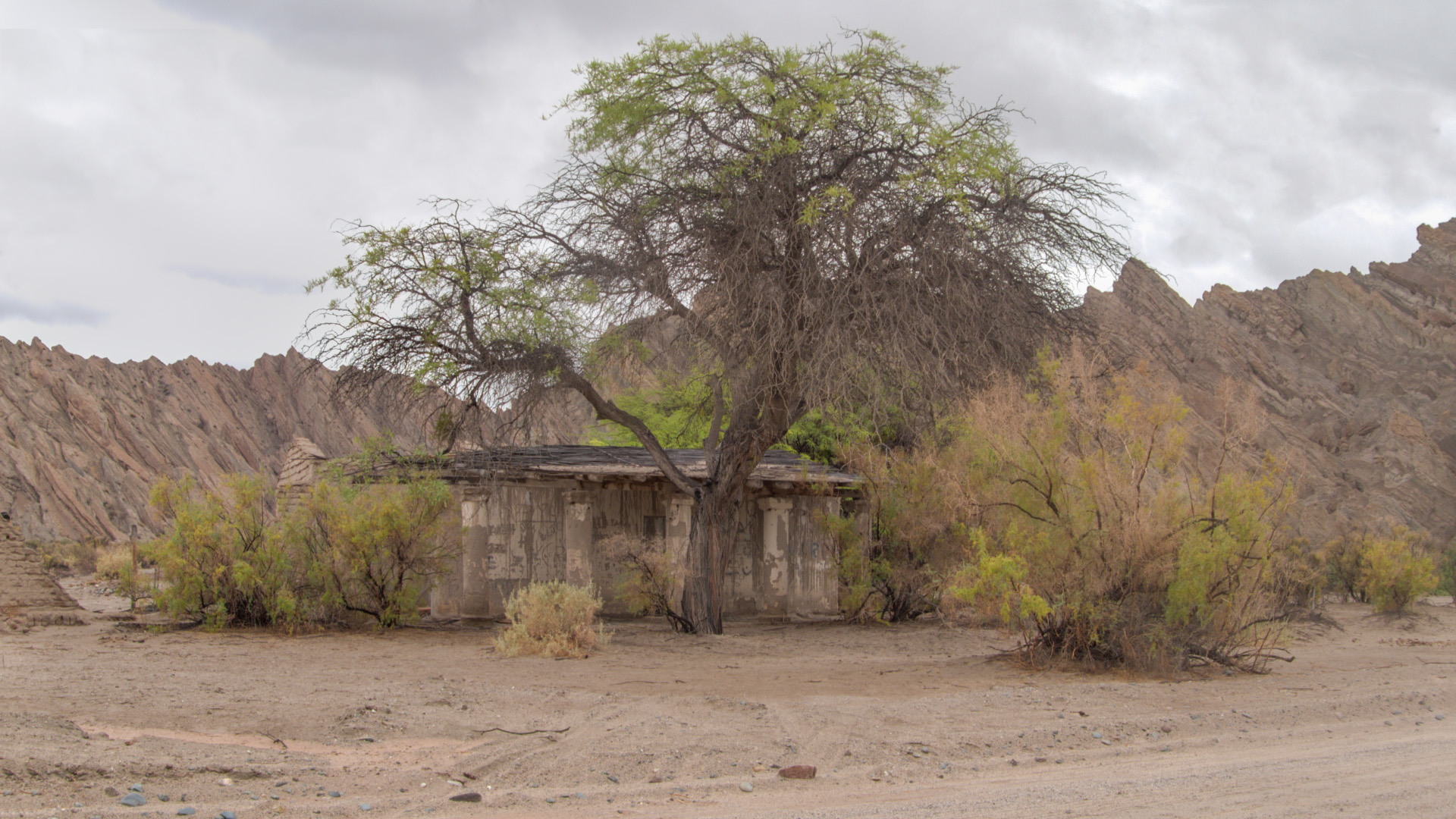 Salta - RN40 - Baum Haus