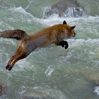 Saltellando per il fiume!