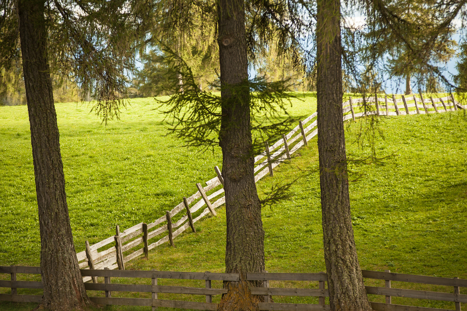 Salten Südtirol