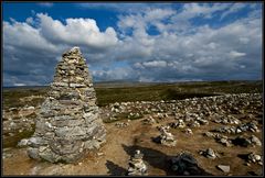 Saltfjellet (Polarkreis)