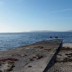 salthill