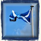 SALTIRE