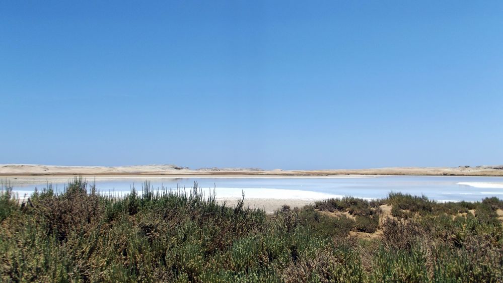 Saltlake in ras mohamed/sinai