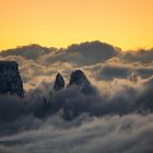 Saltner Spitzen im Nebel