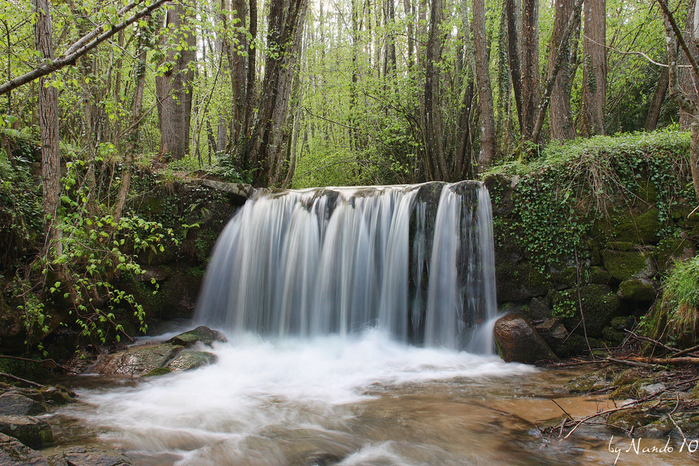 Salto