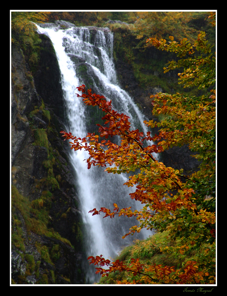 Salto al Otoño