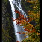 Salto al Otoño