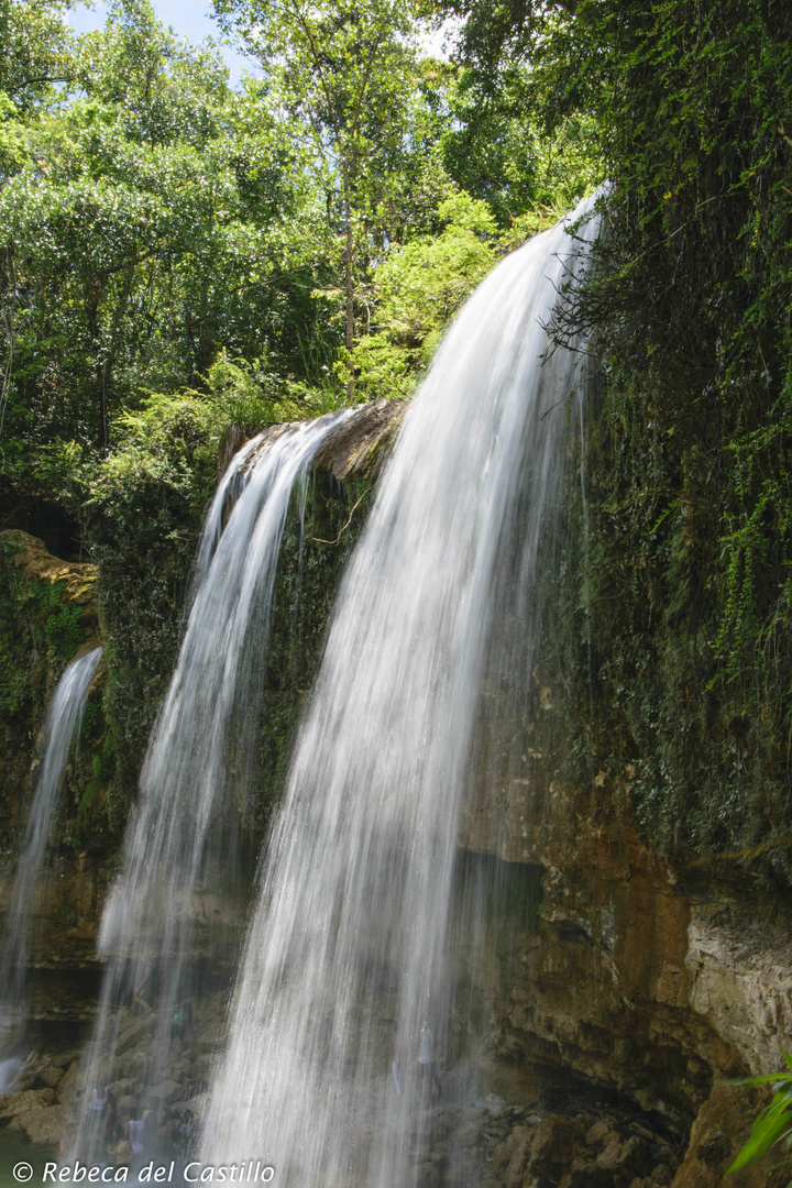 Salto Alto