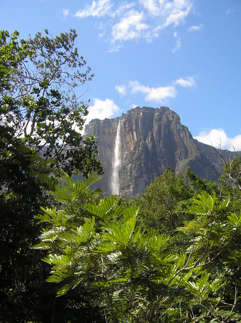 Salto Angel