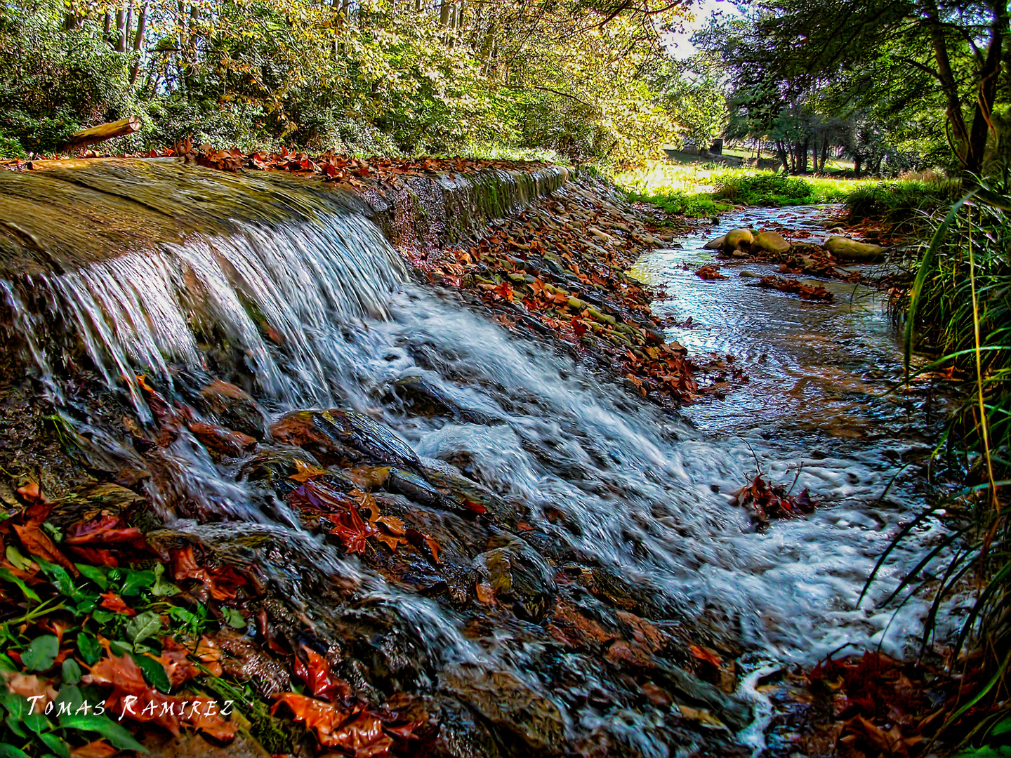 Salto de Agua