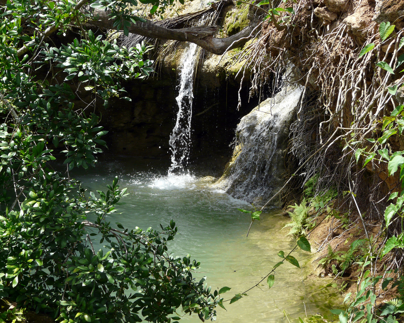 Salto de agua