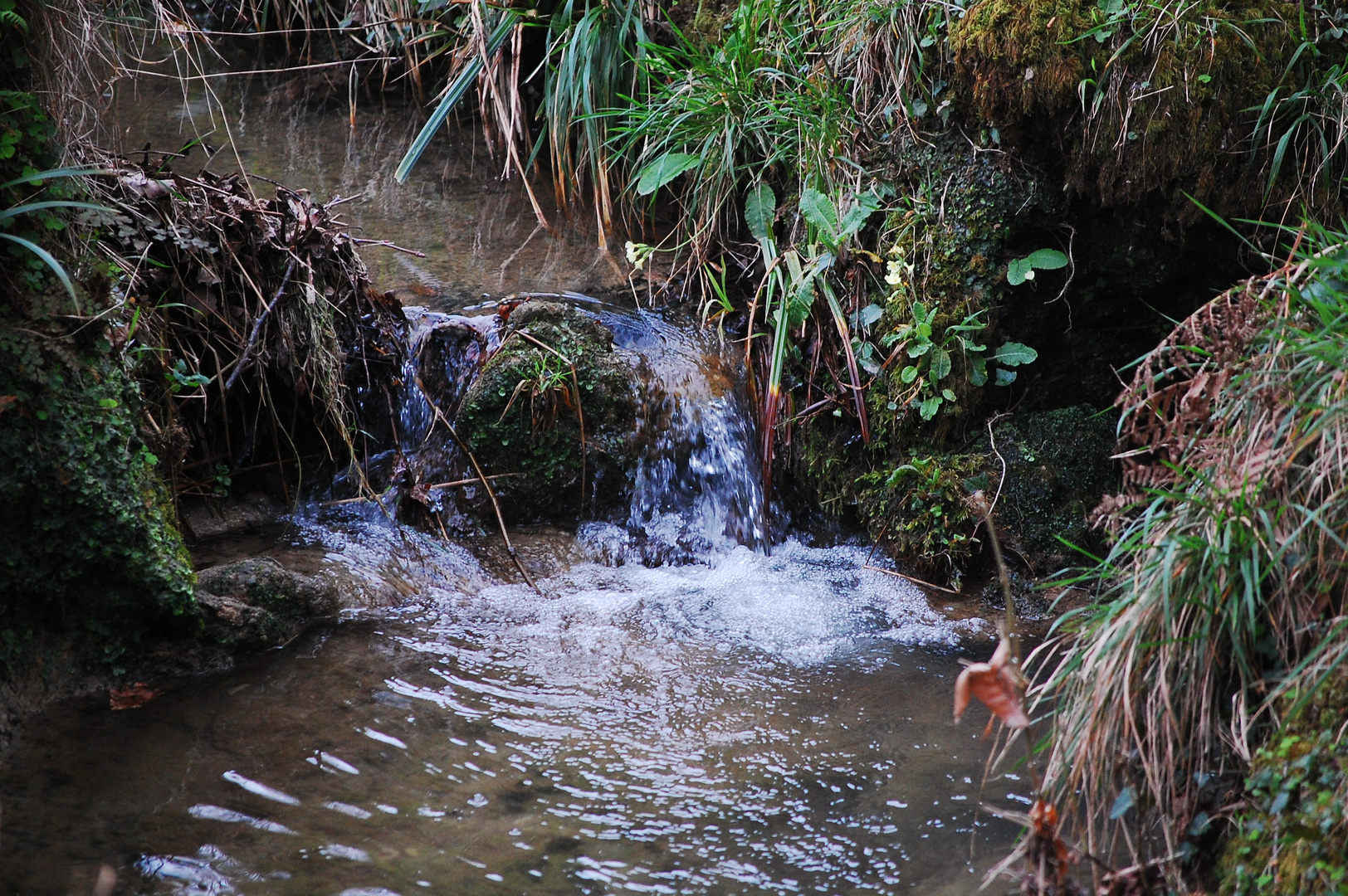 Salto de agua