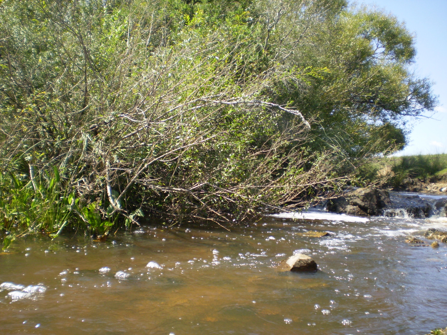 SALTO DE AGUA ENTRE PIEDRAS