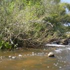 SALTO DE AGUA ENTRE PIEDRAS