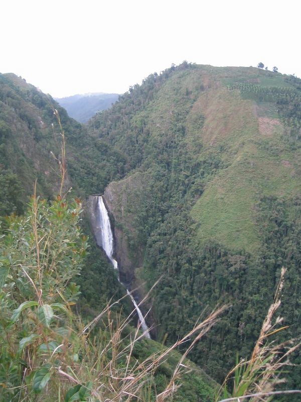 Salto de Bordones