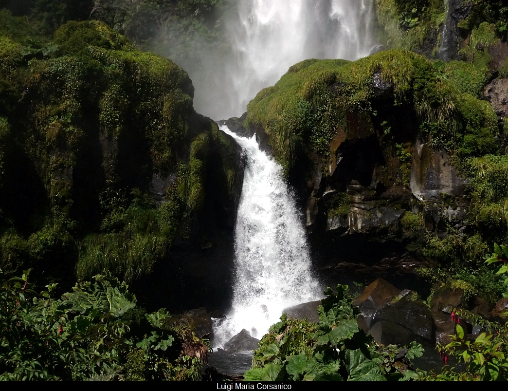 Salto del León. Araucanía, Sur de Chile