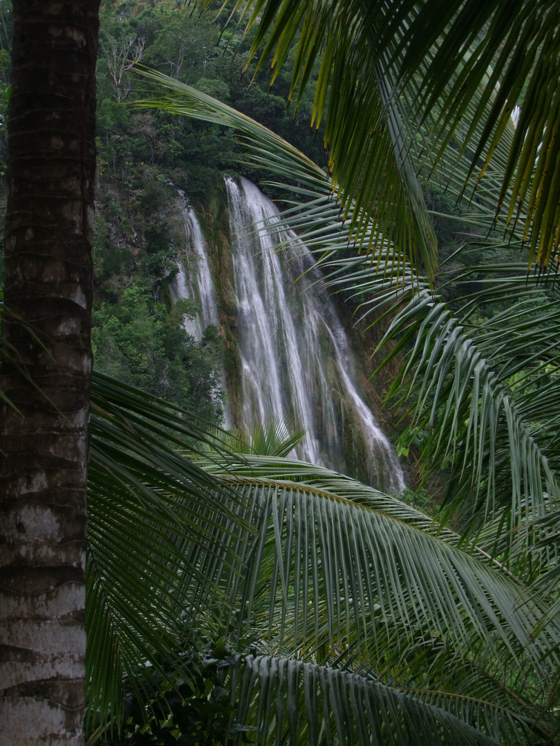 Salto El Limon in Samana April 2010