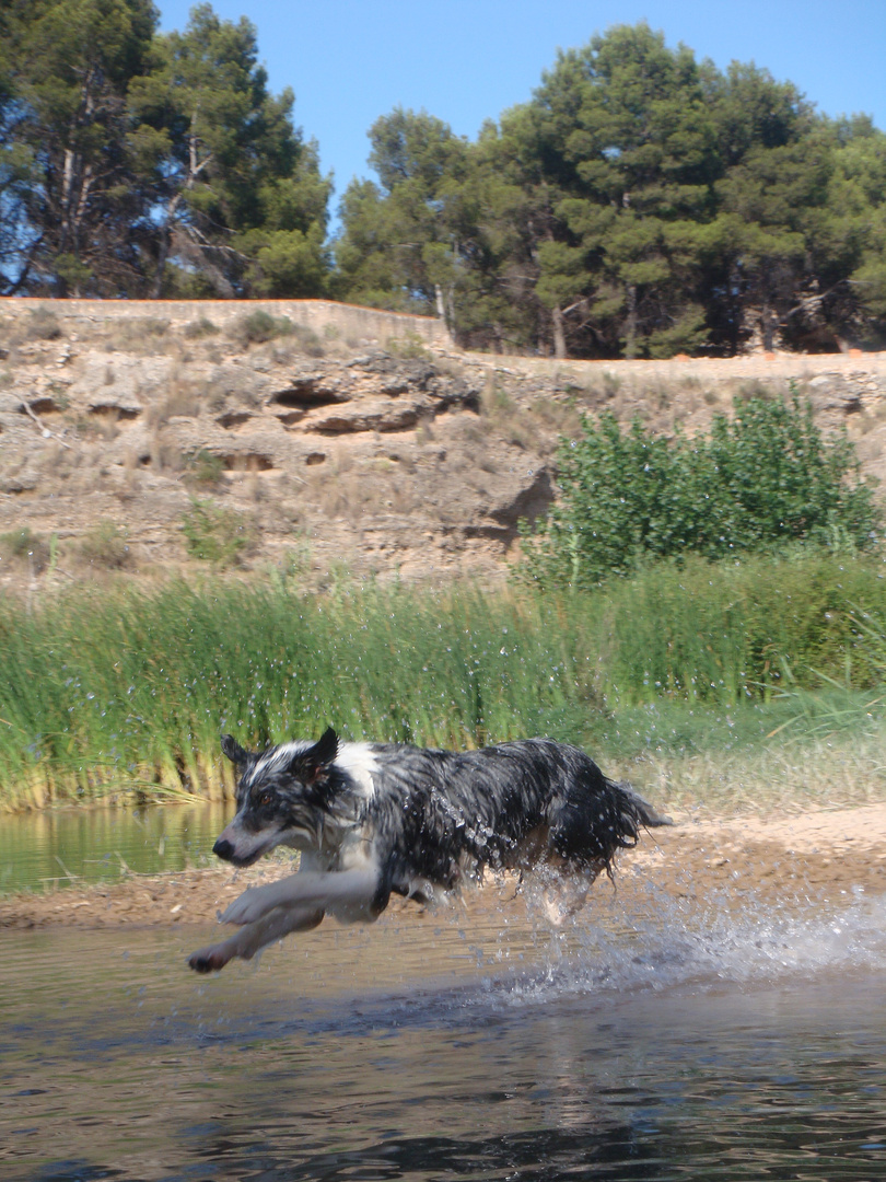 salto en el agua