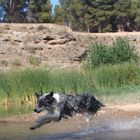 salto en el agua