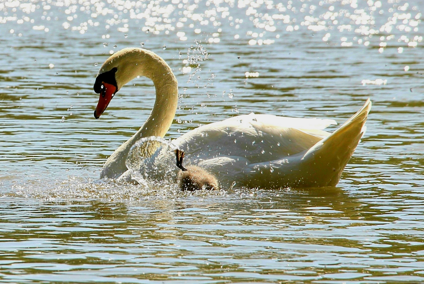 Salto für Mama