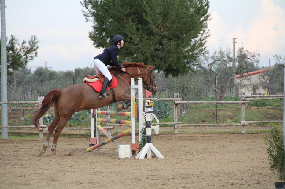 salto ostacoli bari