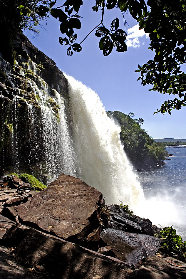 Salto Sapo