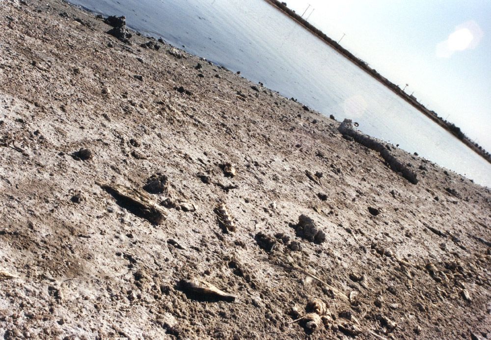 Salton Sea Kalifornien