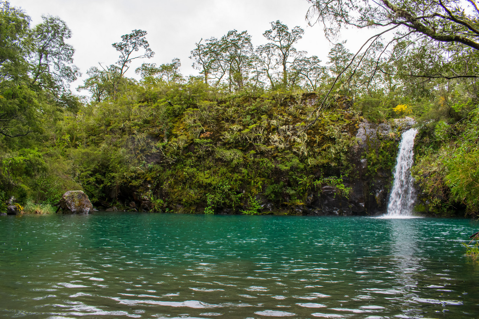 Saltos del Petrohué