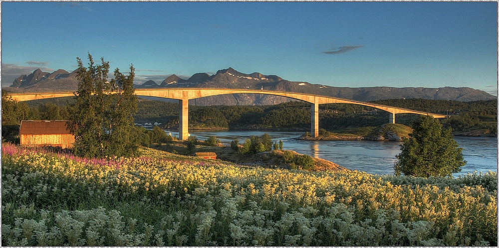 Saltstraumen-Brücke im goldigen Licht der letzten Sonnenstrahlen um 23°° ;  Norwegenreise 2014