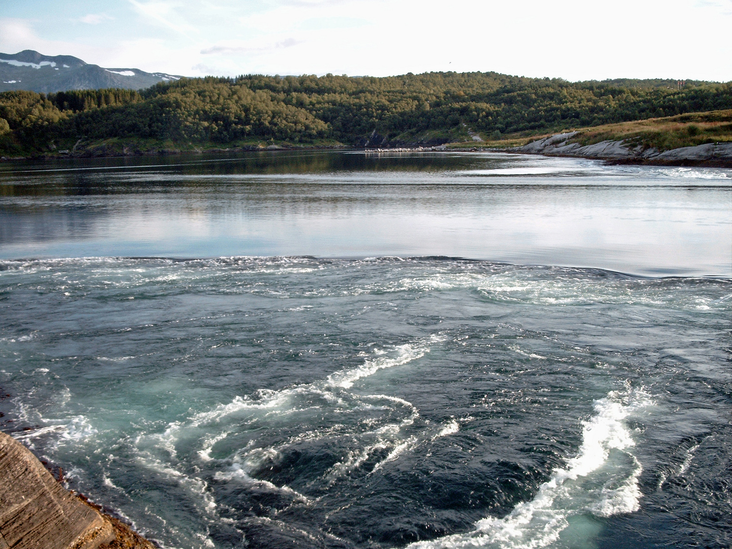 Saltstraumen