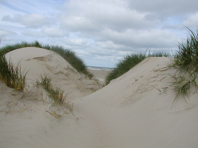 Saltum Strand