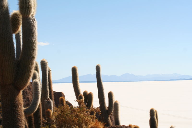 Salty Sea1-Salar de Uyuni