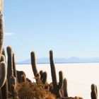 Salty Sea1-Salar de Uyuni