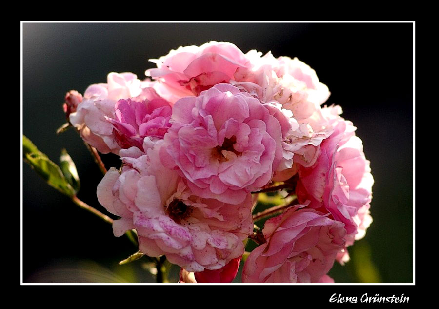 Saludando a la primavera