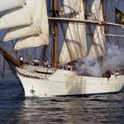 Salut en canonnade du Cisne Branco - Parade Tall Ships Race Cherbourg 2005